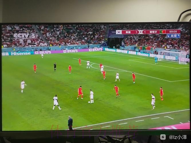 世界杯高清直播高清